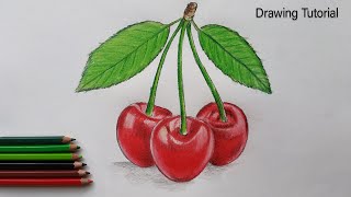 How to draw Cherry fruit Step by Step.