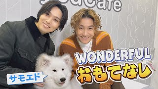 年末ワンダフルSP第3弾！GENERATIONS小森隼とサモエドカフェで自撮り対決！！