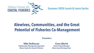 Lunch & Learn: Alewives, Communities, and the Great Potential of Fisheries Co-Management