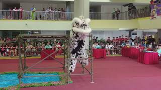 [4K]少林佛山堂 Siaw Lim at 27th Ngee Ann City Lion Dance Championship Prelim on 30 Jul 2023