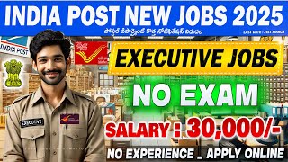 🚨 Postal Jobs New Recruitment 2025 || ₹.30,000 SALARY || IPPB Executive Vacancy || Free Job Search