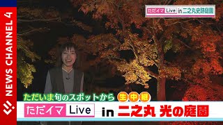 紅葉と光のコラボレーション＜NEWS CH.4＞