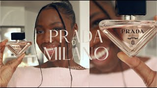 New Prada Milano Paradoxe Perfume Review| Hit or miss ?