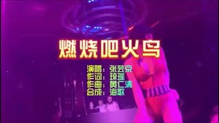 张芸京《燃烧吧火鸟》KTV 导唱字幕 （备有伴奏视频）