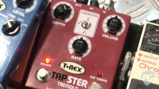 Musikmesse '12 - T-Rex Effects Tapster and Roommate Demos