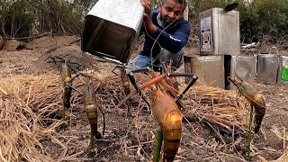 catching giant river prawns in amazing bamboo trap & cooking inside tin can