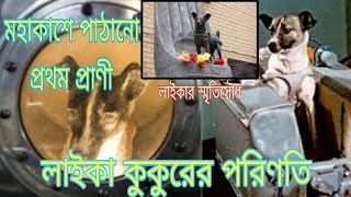 লাইকা কুকুরের পরিণতি। মহাকাশে পাঠানো প্রথম প্রাণী। লাইকার জন্য স্মৃতিসৌধ #space #nasa #science