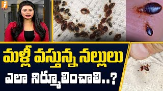 The blacks are coming again Bed Bugs Returns in India | inDepth | iNews