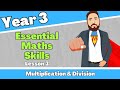 Year 3 Maths Lesson Uk | Multiplication & Division