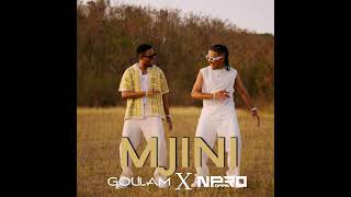 Goulam ft N-Pro Game - Mjini