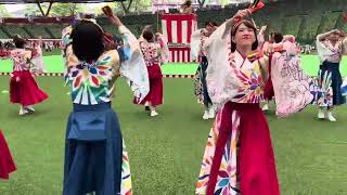 UTAGE  高知県よさこいアンバサダー絆国際チーム@西武ライオンズまつり