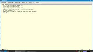 vim registers