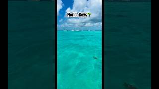 Florida Keys Keywest Ocean Waves Bluewater