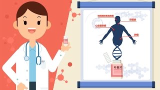 【女子力科学社】协和营养医生告诉你，叶酸到底怎么补才最靠谱！