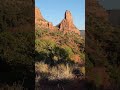 Ooof! cactus on the hike up into the red rocks of Sedona! #shanakaplanphotography