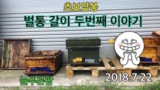 초보양봉/양봉통 통갈이 하기 2탄 [늘푸른팜] beekeeper