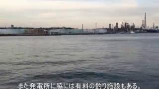 横浜磯子 根岸岸壁 【釣り場情報】Fishing point  YOKOHAMA-ISOGO-NEGISHI Bay