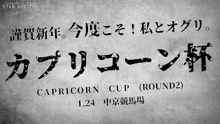 【ウマ娘】ラウンド２も３勝目指して頑張るぞ～！！カプリコーン杯グレードリーグ！！【ゆきもも・STAR SPECTRE】