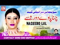 Chana Paway Door Wasay | New Punjabi Track | Naseebo Lal