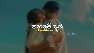 Thahanam Dan | තහනම් දැන් | Slowed+Reverb|