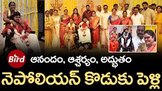 ఆనందం, ఆశ్చర్యం, అద్భుతం  నెపోలియన్ కొడుకు పెళ్లి | Nepoleon Son Dhanoosh Marriage | Bird Media