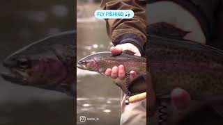 Fly Fishing in Exeter NH - YouTube #Shorts