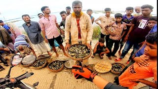 টুকের বাজার | কোম্পানীগঞ্জ হাওরের তাজা মাছ | সিলেট পর্ব : ০৩ | Poth Chola Biker