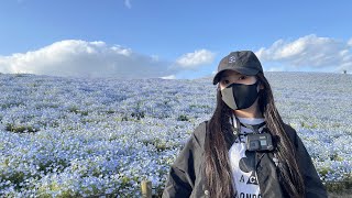 【絶叫注意】バイク女子とネモフィラ