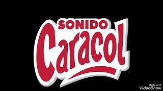 Sonido Caracol - El Borrachón