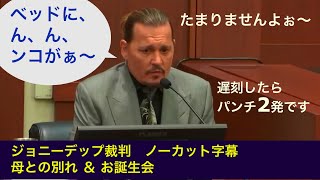 デップ裁判6日目 - ジョニー・デップ  9 主尋問（誕生日パーティと母の死）