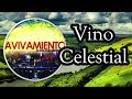 Bateria Virtual | Vino Celestial | Miel San Marcos