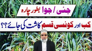 Which variety of Oat should be cultivated || When to cultivate Oat for fodder || Crop Reformer