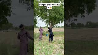 Dangerous Crow 🐦‍⬛ Hunting Farmers 🐦‍⬛😱 #hunting #villagehunter #villagelife #farming #shorts