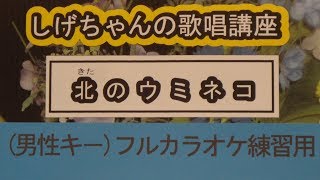 「北のウミネコ」しげちゃんのカラオケ実践講座 / キム・ヨンジャ＜男性用カラオケ＋４＞