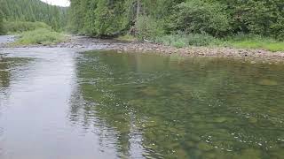 Yaak River, Montana