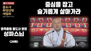 [입법계품/회향-성파스님] \