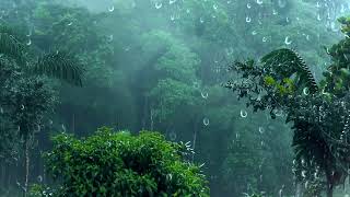 Stop Worrying & Sleep Instantly with Heavy Rain on Tin Roof & Powerful Thunder Sounds on Rainy Night