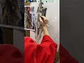 홍대조미술 북어 3마리 수채화~ shorts drawing painting watercolorsketch