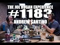 Joe Rogan Experience #1183 - Andrew Santino