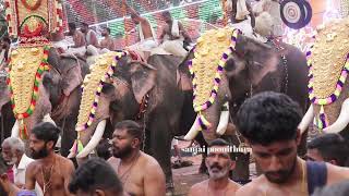 മരട്ടിൽ കൊട്ടാരം ഭഗവതി ക്ഷേത്രം തെക്കേചേരുവാരം  താലപ്പൊലി 2023 പഞ്ചവാദ്യം പ്രമാണം കോട്ടക്കൽ രവി