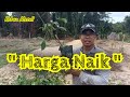 [ Episod 313 ] Melawat kebun getah jiran baru @NajmiMY sebelah  @kebunabah getah muda.