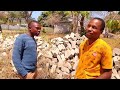 Ndezve_mubhurugwa🤣🤣_Latest Comedy_(Cool Gee Films)