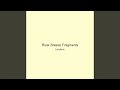 River Breeze Fragments