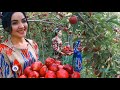 TAJIKISTAN IS A PARADISE OF THE SWEETEST FRUITS EVER IN THE WORLD/YOU GOT TO SEE THIS