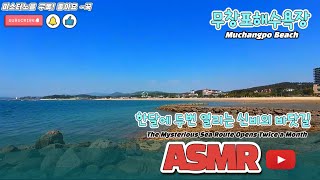 한달에 두번 열리는  신비의  바닷 길 무창포해수욕장 | 보령 |  ASMR | 가볼만한 곳 | 당일치기 | 여행