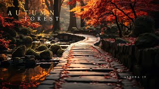 Relaxing Zen Music | Autumn Forest Meditation Music for Sleep and Study
