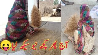 Wheat Cleaning Machine | دانے صاف کرنے والی مشین | Pakistan india urdu/hindi