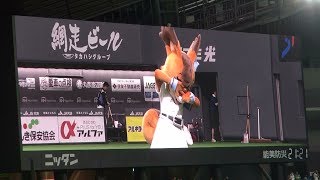 20190528 ファイターズが勝利！ヒーローインタビューを待つポリーちゃん