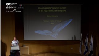 CRCNS 13-7-2023 Neural codes for natural behaviors in flying bats - Nachum Ulanovsky