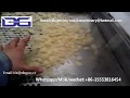 Slanty wave chips extruder/Finger snack pellet plant/3d 2d papad fryums production